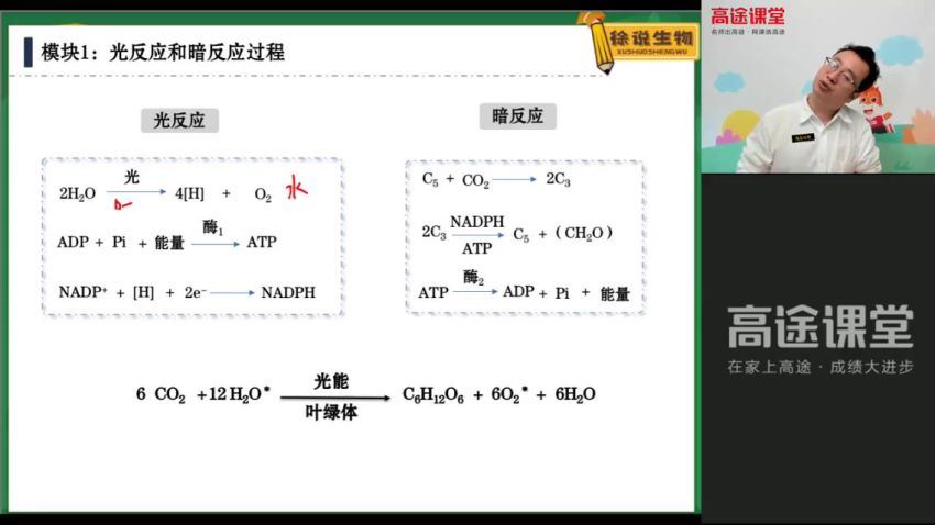 2022高一高途生物徐京秋季班