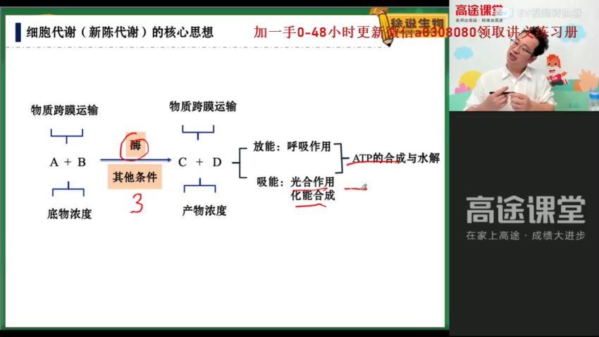 2022高一高途生物徐京秋季班