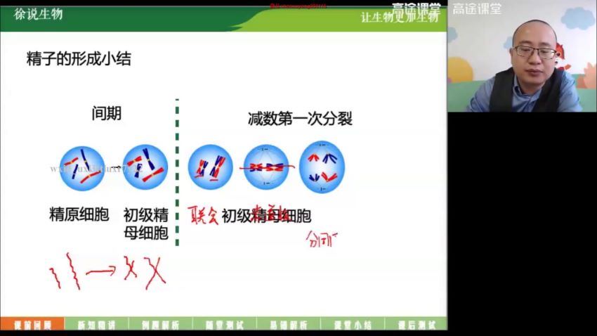 徐京高徒高一生物寒假班 (4.26G) 百度网盘
