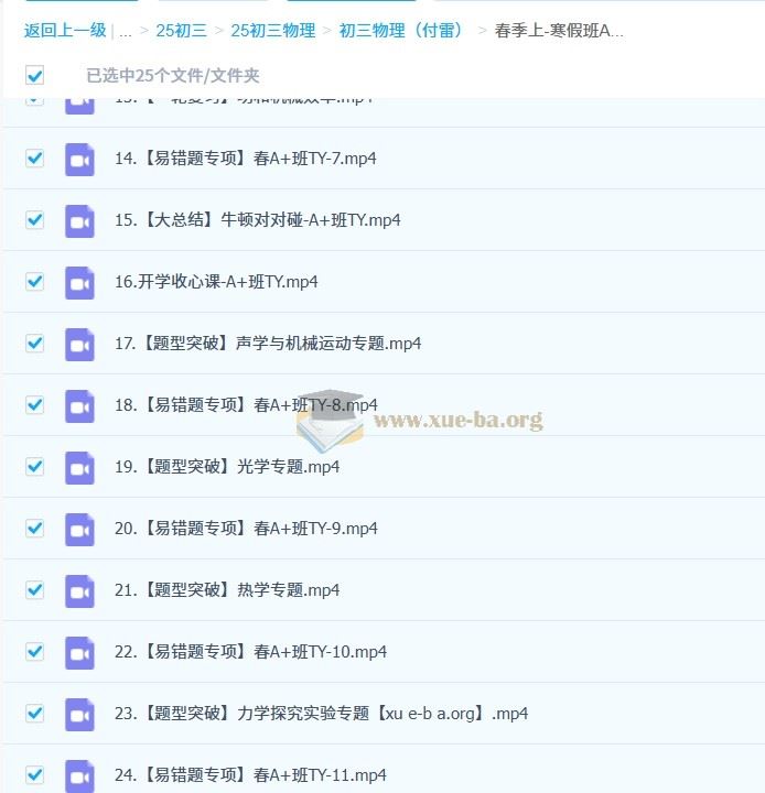 初三 中考物理 付雷 2024-2025 A+ 秋季班 寒假班 春季班 百度网盘