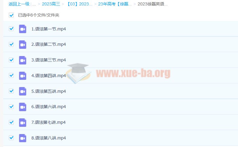 2023徐磊英语 英语语法课 8讲