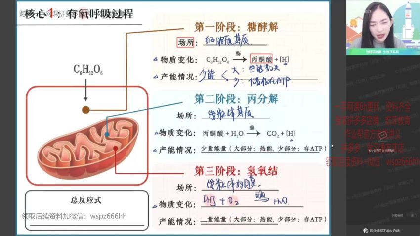 2022高二作业帮生物杨雪寒假班（尖端）