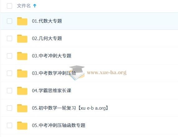 状元数学刘校长初中基础+拔高合集