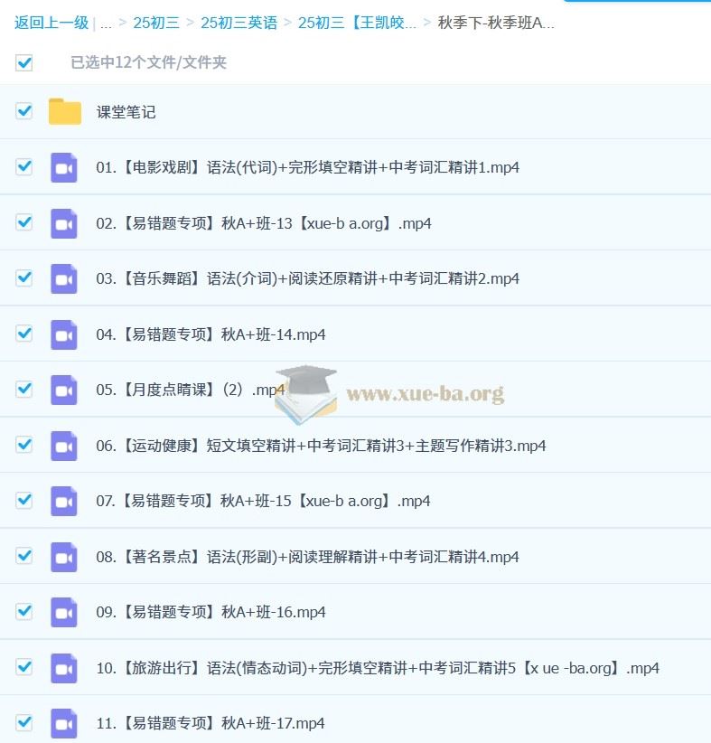 2025初三中考英语 王凯皎英语 暑假 秋季 寒假班 春季班  百度网盘