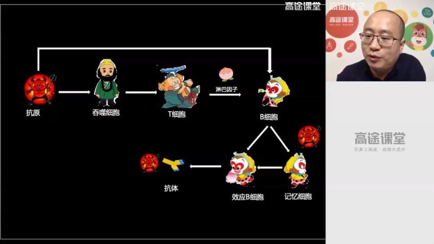 徐京2019高二生物秋季班 百度网盘