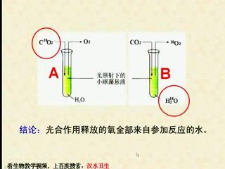 高中生物必修1汉水丑生 (592.15M) 百度网盘