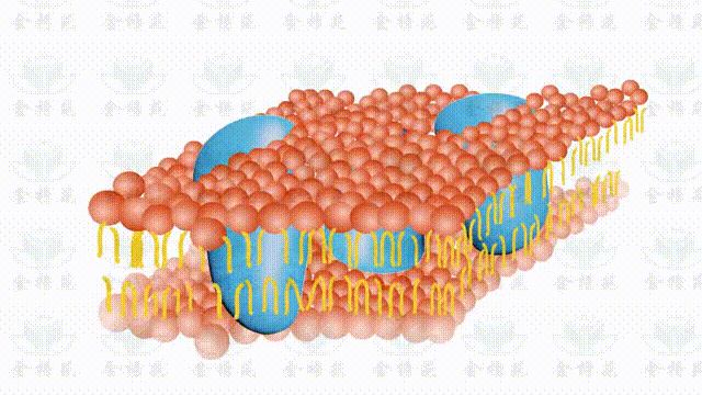 34张中学生物精美教学动图GIF百度网盘下载