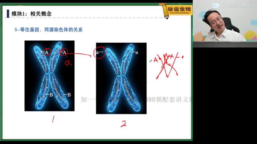 2022高一高途生物徐京春季班