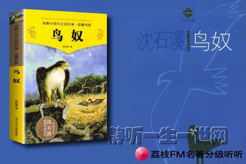 荔枝FM名著分级听听.鸟奴（8岁+）百度网盘下载儿童专辑