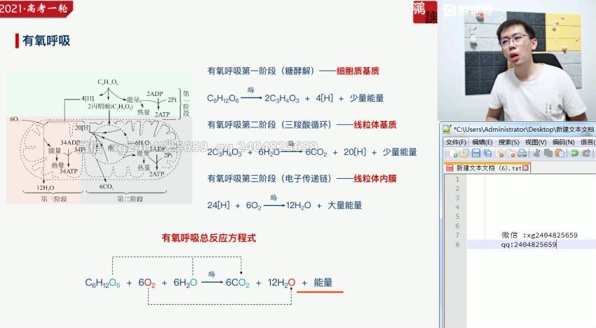 2021高三生物张鹏暑假班 百度网盘