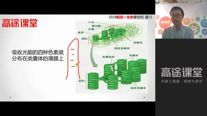 18年高途高一秋季生物 董川 百度网盘