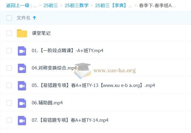 2025初三中考数学 李爽 全年 暑假班 秋季班 寒假班 春季班 百度网盘