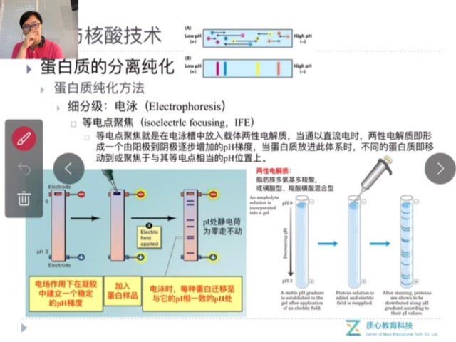 （质心高中生物竞赛）2018秋第二轮生物化学进阶5讲朱斌 (5.88G) 百度网盘