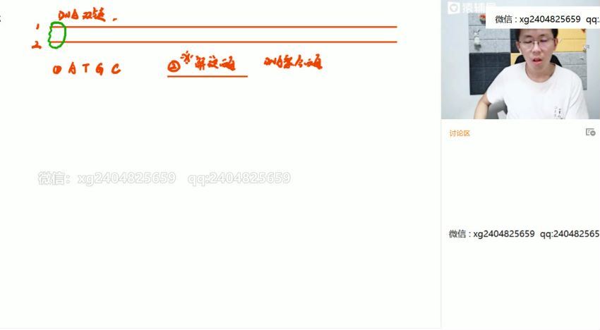 2021高三生物张鹏暑假班 百度网盘
