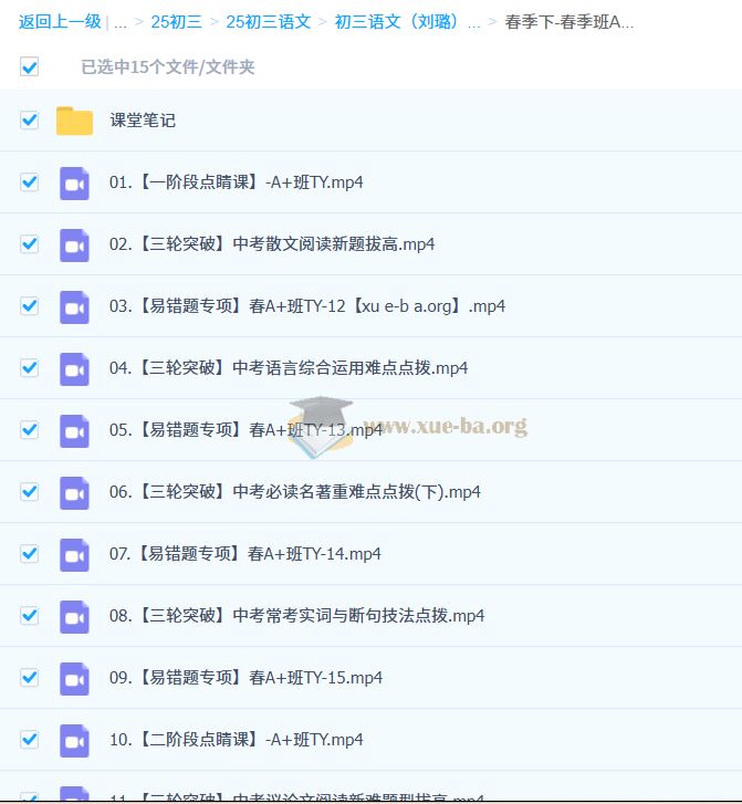 初三中考语文刘璐语文 2024-2025 A+班 秋季 寒假班 春季班 百度网盘