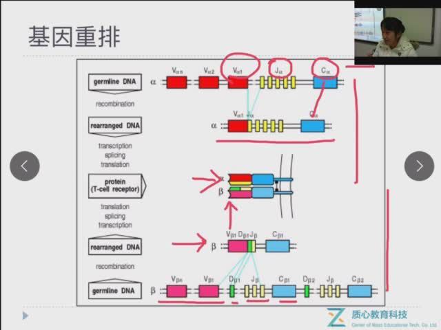 质心生物竞赛秋季续报班（线上班） (9.19G) 百度网盘