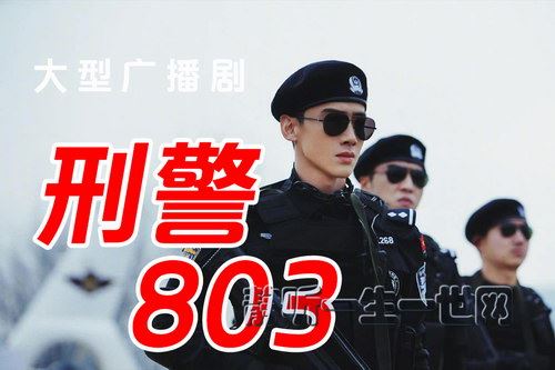 大型连续广播剧刑警803最新版本（189-208部）百度网盘下载有声书籍