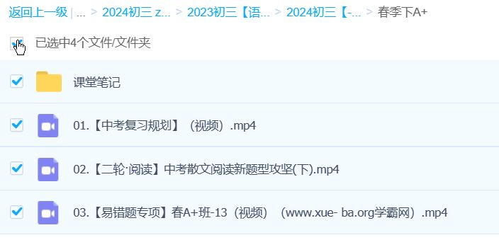 杨荷 2024初三中考语文视频课程 A+春季班（下）百度网盘下载