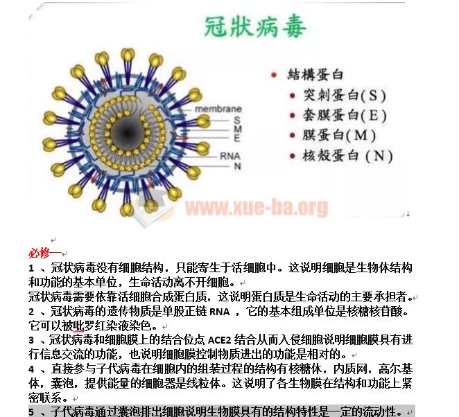 2020高考必考 新型冠状病毒高中生物知识点汇总及练习题Word文档下载 