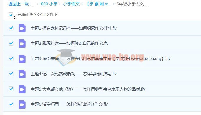 小学语文阅读习作3-6年级 全套视频课程 百度云网盘下载