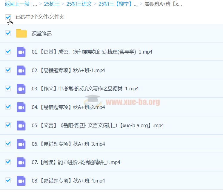 2025初三中考语文 柳宁语文 暑假班 百度网盘
