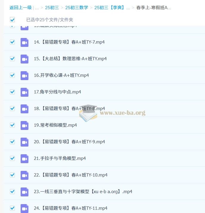 2025初三中考数学 李爽 全年 暑假班 秋季班 寒假班 春季班 百度网盘