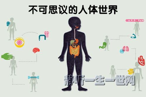 不可思议的人体世界（全集）百度网盘下载儿童专辑