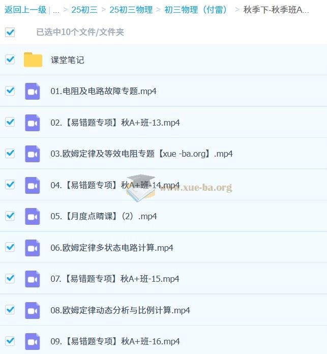 初三 中考物理 付雷 2024-2025 A+ 秋季班 寒假班 春季班 百度网盘