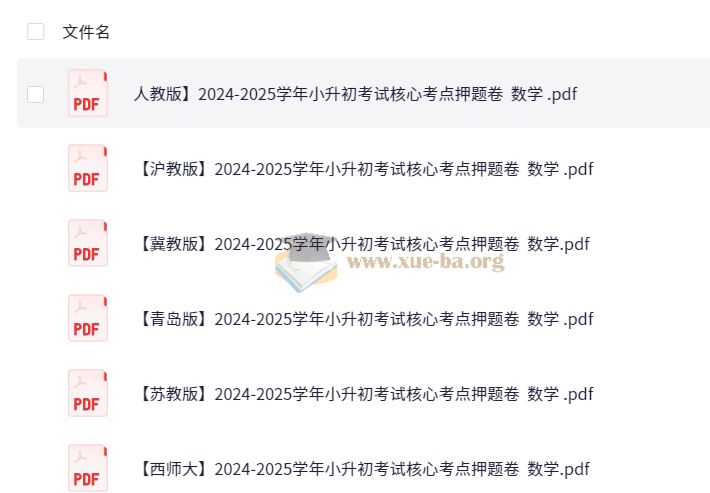 2025学年小升初考试核心考点押题卷
