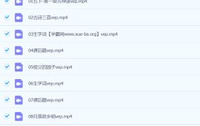 叶子老师小学语文三年级四年级五年级+阅读 511G知识合集