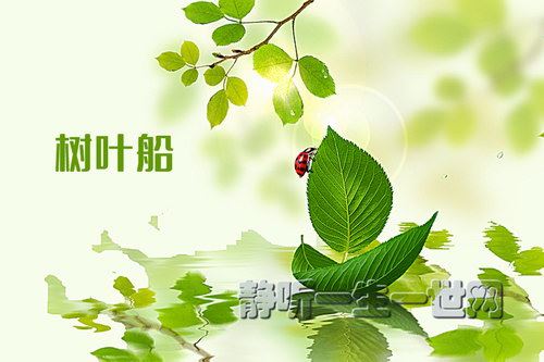 荔枝FM名著分级听听.树叶船（3岁+）百度网盘下载儿童专辑