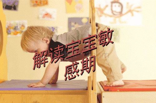 《解读孩子的敏感期》（16集39M）百度网盘下载儿童专辑