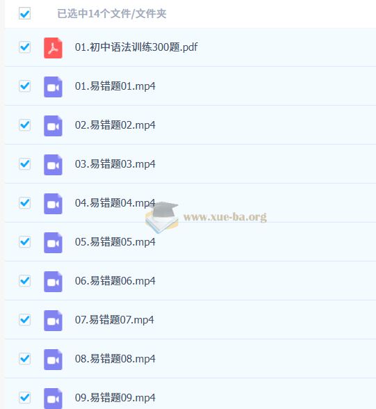 瓶子老师初中英语语法易错题300题视频讲解课