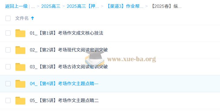 陈晨 2025高三高考语文 密训班 百度网盘