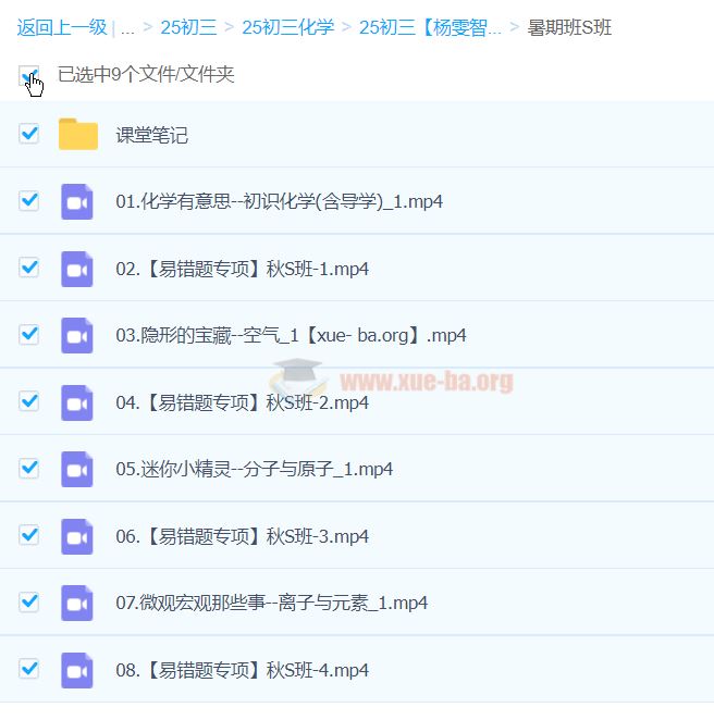 2025初三中考化学 杨雯智化学 百度网盘