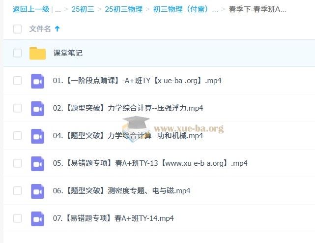 初三 中考物理 付雷 2024-2025 A+ 秋季班 寒假班 春季班 百度网盘