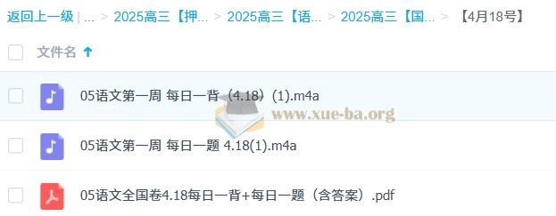 2025高三高考语文 国家伟语文 押题班 梦想典当铺 百度网盘