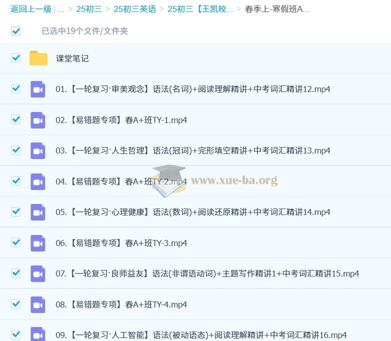 2025初三中考英语 王凯皎英语 暑假 秋季 寒假班 春季班  百度网盘