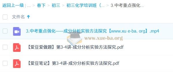 2025 陈潭飞 初三化学中考化学培训班 （春下·全国版·A+） 百度网盘下载