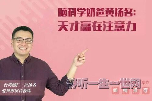 脑科学奶爸黄扬名：天才赢在注意力（完结）（喜马拉雅）百度网盘下载儿童专辑