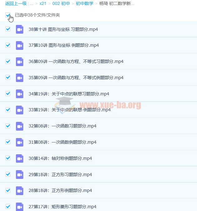 杨琦 初二数学新思维刷题课38讲完整