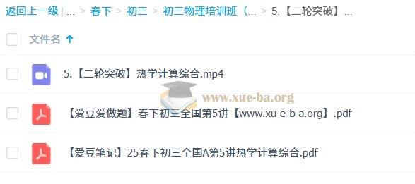 2025 余沛洲 初三物理中考物理培训班 一轮强基 （春下·全国版·A+）余百度网盘下载