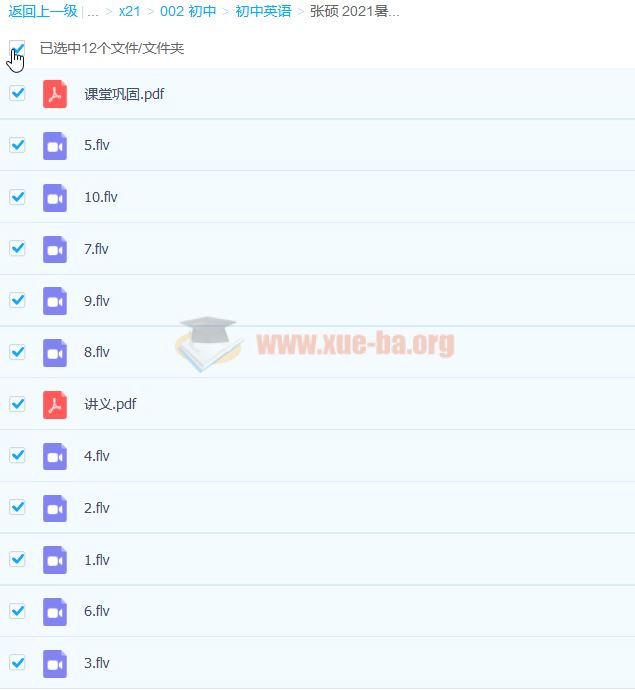 张硕 2021暑 初三中考英语目标A+10讲带讲义完结