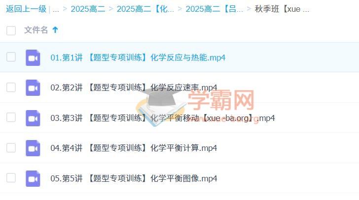2025高中高二化学 吕子正 全年 暑假 秋季 寒假 春季 百度云网盘