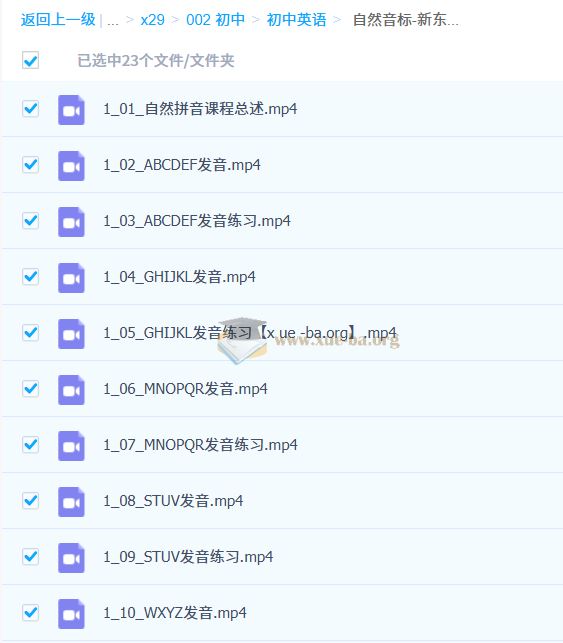 小学英语 自然音标-新东方-音标拼读VIP通关班