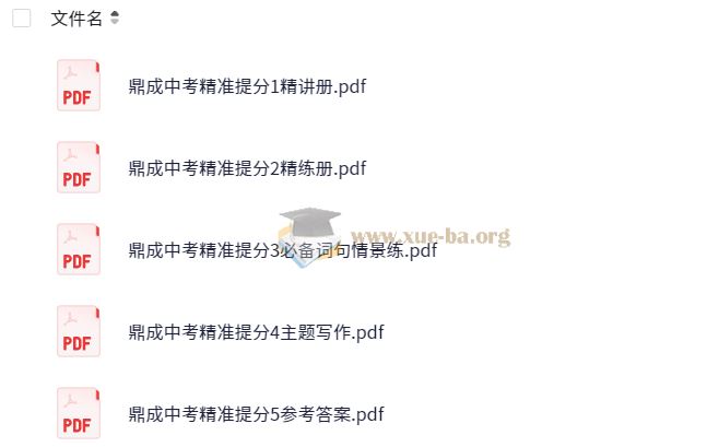 2025中考精准提分 (语数英)