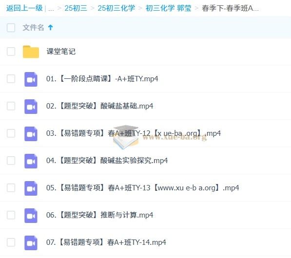 2024-2025 初三 中考化学 郭莹 A+ 秋季班 寒假班 春季班 百度网盘